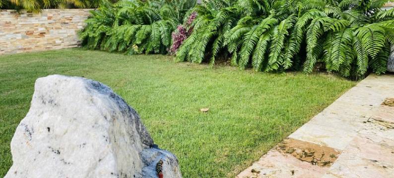 Beautifull Spot图片