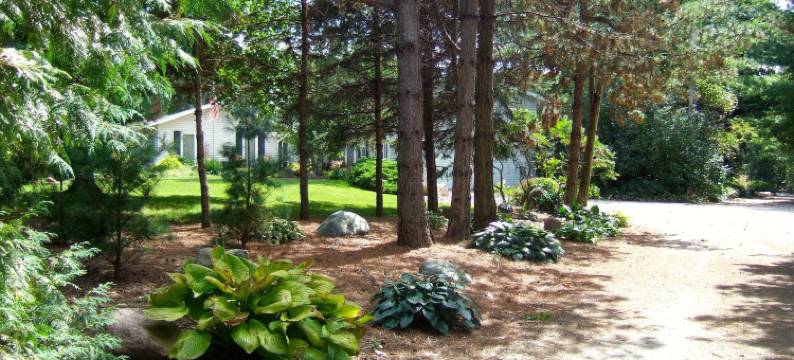 洛亚小屋家庭旅馆(Loya's Little House Bed & Breakfast)图片