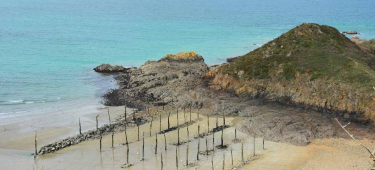 艾德奈维兹吕斯柯泰尔酒店(Hôtel Restaurant les Fontaines)图片