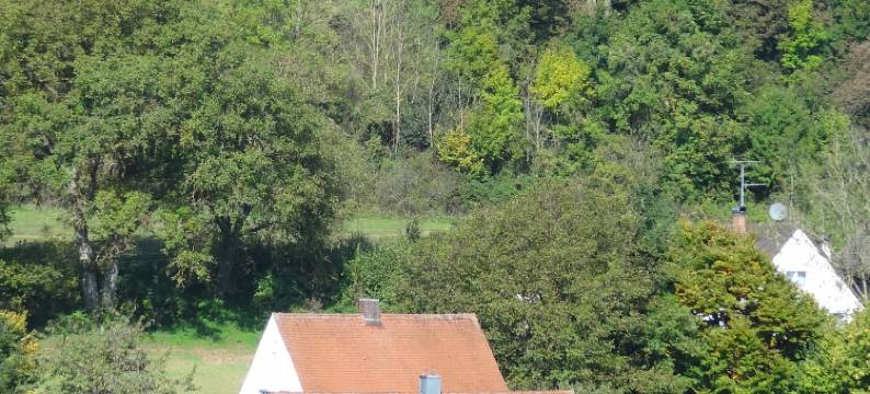 阿尔特米尔多诺尔公寓酒店(Donauer im Altmühltal - Ferienwohnungen)图片