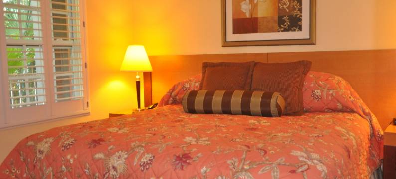 罗斯蒙特套房酒店(Rosemont Guest Suites)图片