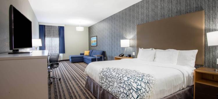 布法罗阿默斯特拉昆塔温德姆套房酒店(La Quinta Inn & Suites by Wyndham Buffalo Amherst)图片