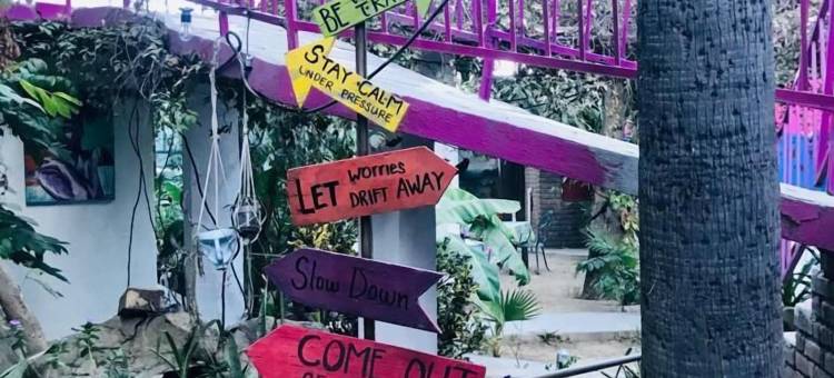 帕萨达斯诺尔马纳纳酒店(Hotel Posada Señor Mañana)图片