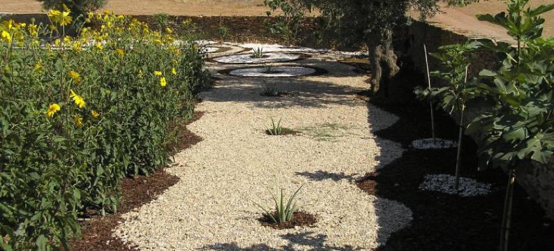 奥尔塔大考塔大酒店(Horta Da Coutada)图片