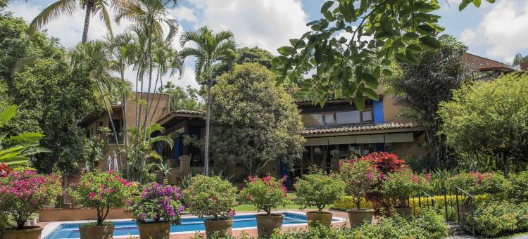 狂兰酒店(Orchidelirium Casa Hotel & Salud Estética)图片