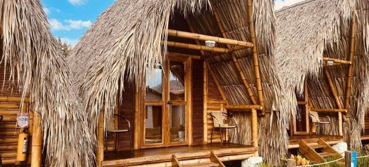 帕洛米诺日出(Palomino Sunrise)图片