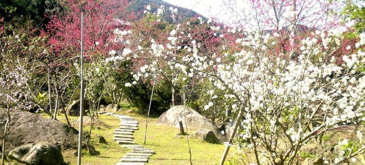 南投溪谷餐厅图片