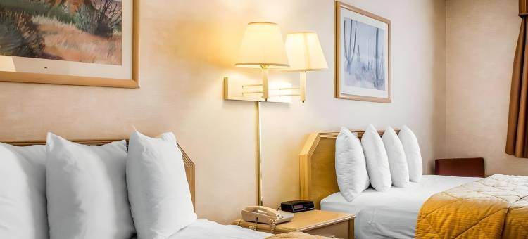 尤马品质套房酒店(Quality Inn & Suites Yuma)图片