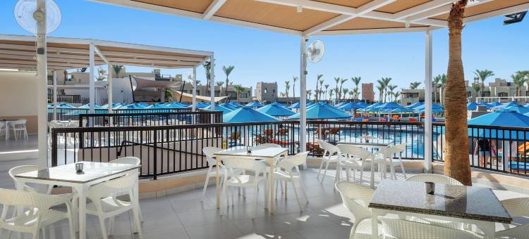 加利布港皮卡尔巴特罗斯绿洲酒店(Pickalbatros Oasis Port Ghalib)图片