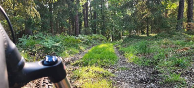 弗兰肯瓦尔德木屋(Frankenwald Chalets - Chalets)图片