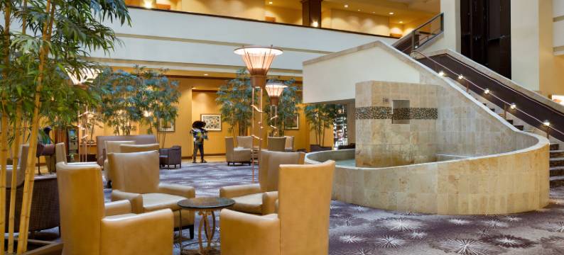 达拉斯弗赖拉辛希尔顿安泊水疗酒店&会议中心(Embassy Suites by Hilton Dallas Frisco Hotel & Convention Center)图片