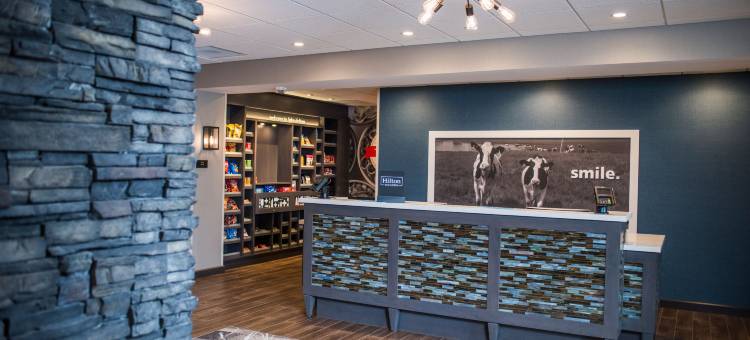 威斯康星德尔斯戴尔顿湖欢朋套房酒店(Hampton Inn & Suites Wisconsin Dells Lake Delton)图片