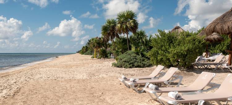 Platinum Yucatan Princess Solo Adultos -Todo Incluido图片