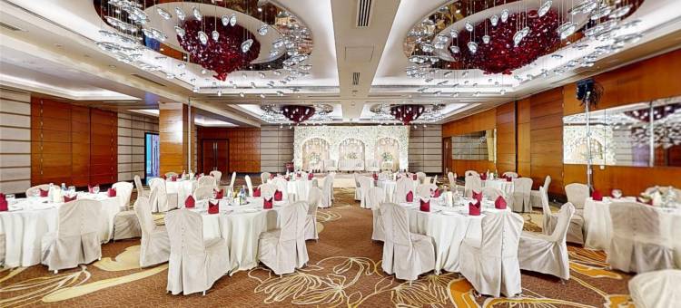 那格浦尔丽笙酒店(Radisson Blu Hotel, Nagpur)图片