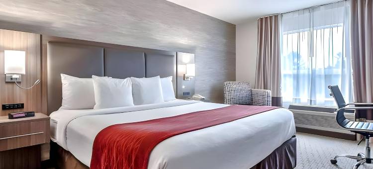 舒适套房酒店南机场店(Comfort Inn & Suites Airport South)图片