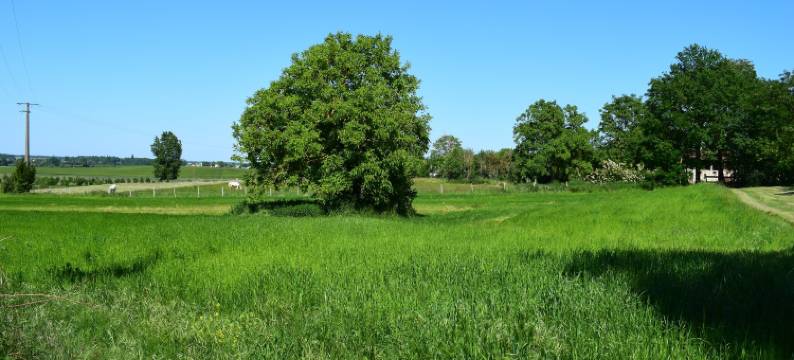 Holiday Home in Loire near Castles and Nature图片