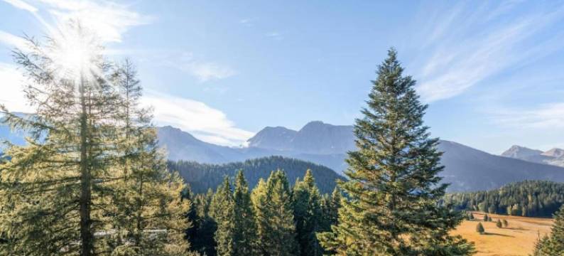 Stay with Garden, Chamrousse图片