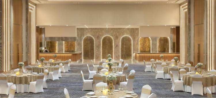 德里 MG 路 丽笙酒店(Radisson Hotel Delhi MG Road)图片