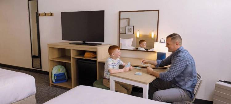 希尔顿维斯塔尔宾厄姆顿大学区Spark(Spark by Hilton Vestal Binghamton University Area)图片