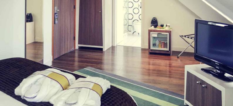 斯特拉斯堡火车站美居酒店(Hôtel Mercure Strasbourg Centre Gare)图片