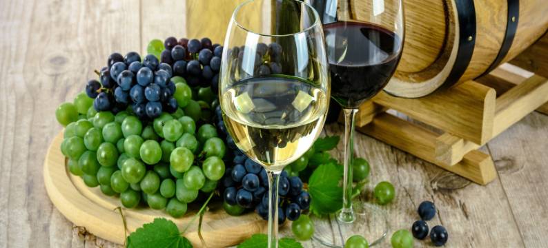 Nature Escape in Loubressac图片