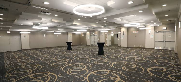 芝加哥奥黑尔区假日酒店(Holiday Inn Chicago O'Hare Area)图片