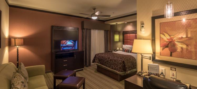 Staybridge Suites DFW机场北 by IHG(Staybridge Suites DFW Airport North)图片