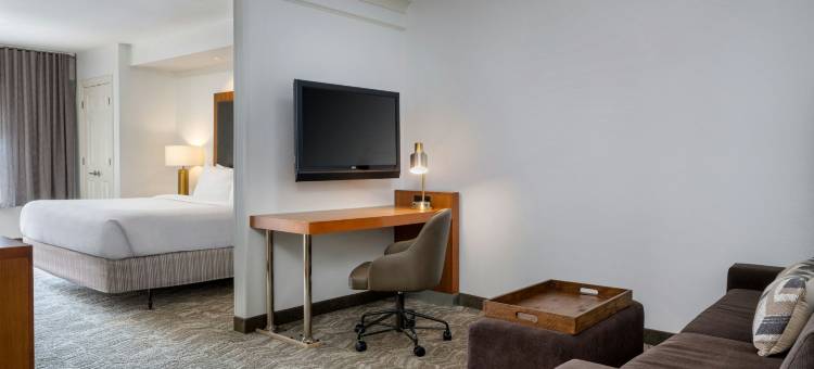 北查尔斯顿/阿什利法斯菲特万豪SpringHill Suites 酒店(SpringHill Suites Charleston North/Ashley Phosphate)图片