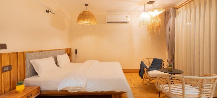 环游世界(Over The World)图片