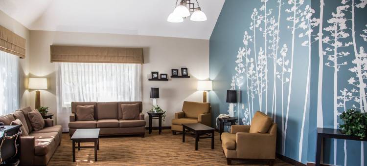 达文波特舒眠酒店及套房(Sleep Inn & Suites Davenport - Quad Cities)图片