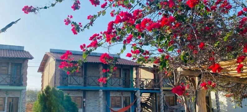 腰果酒旅馆(POUSADA LICOR DE CAJU)图片