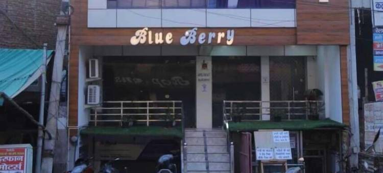 阿格拉蓝莓酒店(Hotel Blue Berry Agra)图片