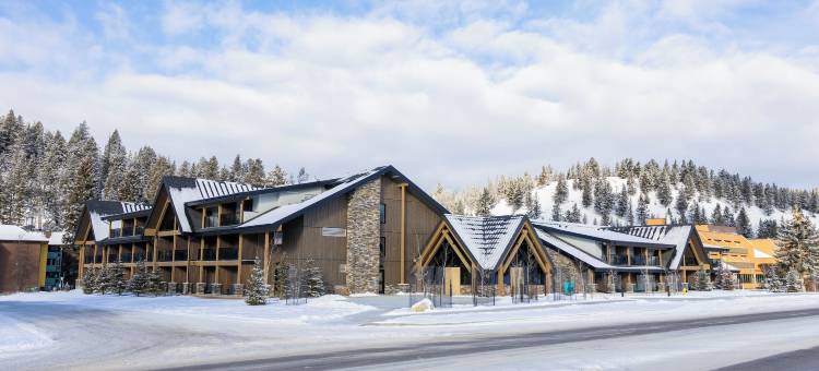 森林公园酒店(Forest Park Hotel)图片