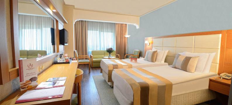 伊斯坦布尔阿克居恩，豪华系列酒店(Akgun Istanbul Hotel, Worldhotels Elite)图片