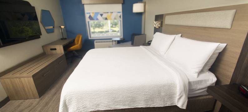 智选假日套房酒店可可(Holiday Inn Express & Suites COCOA by IHG)图片