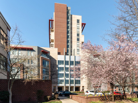 Kasa亚历山德里亚华盛顿