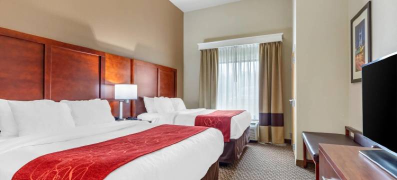 舒适套房酒店(Comfort Suites Smyrna)图片