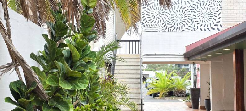 埃尔托罗汽车旅馆(El Toro Motel)图片