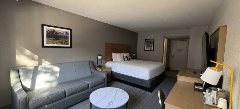 舒适套房酒店红岩 - 丹佛西部(Comfort Inn & Suites Red Rocks - Denver West)图片