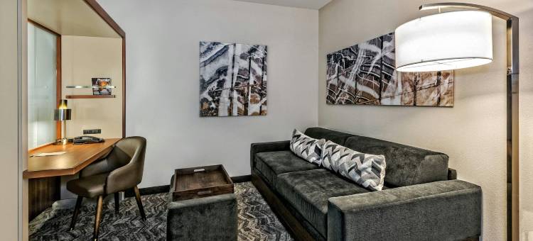 圣安东尼奥机场万豪SpringHill酒店(SpringHill Suites San Antonio Airport)图片