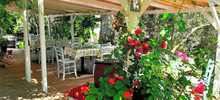 乌穆特海洋客栈(Umut Denizi Konukevi)图片