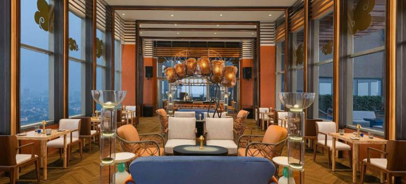 新德里市中心诺富特酒店(Novotel New Delhi City Centre)图片