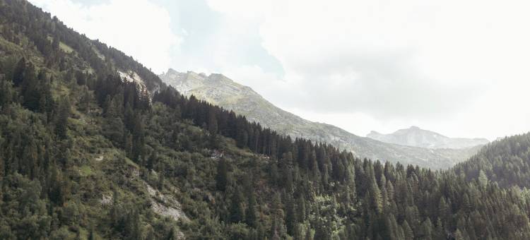 纽欣特图克斯酒店(Hotel Neuhintertux)图片