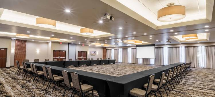新奥尔良德鲁里广场酒店(Drury Plaza Hotel New Orleans)图片