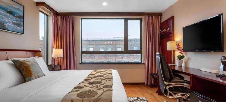 L酒店-阿桑德连锁酒店(The L Hotel)图片
