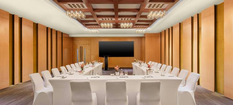 班加罗尔外环路雅乐轩酒店(Aloft Bengaluru Outer Ring Road)图片