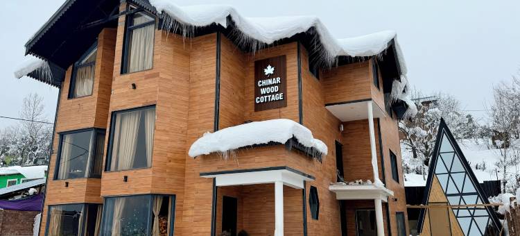 奇纳尔木屋(Chinar Wood Cottage)图片