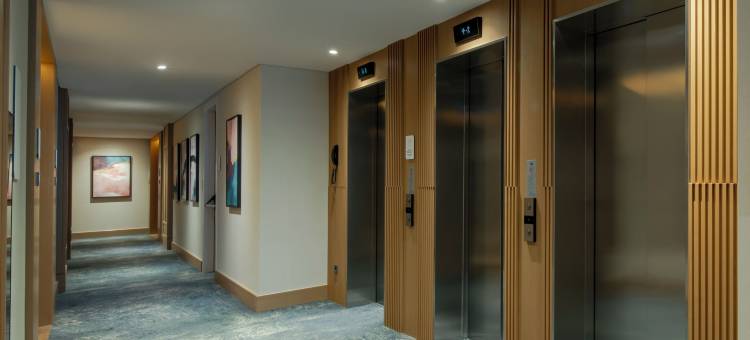 希尔顿花园酒店伊斯坦布尔彭迪克(Hilton Garden Inn Istanbul Pendik)图片