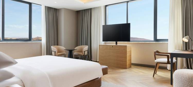 福朋喜来登酒店埃拉齐格(Four Points by Sheraton Elazig)图片