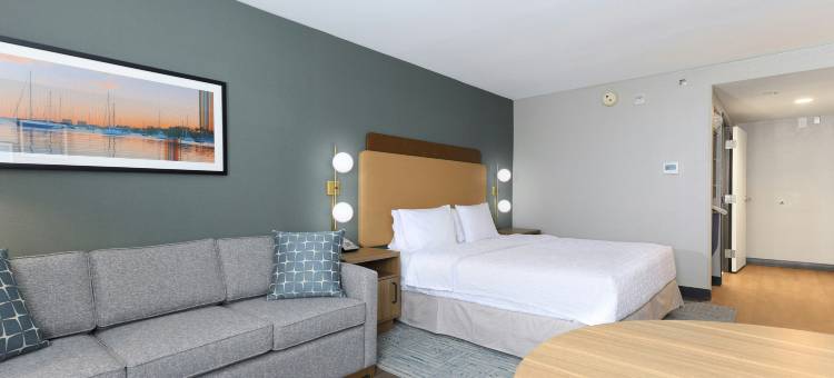 迈阿密椰林珊瑚山墙欢朋酒店(Hampton Inn Miami-Coconut Grove/Coral Gables)图片